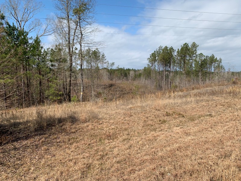 Lake Claiborne Kallus 24 Homer, Louisiana Land For Sale