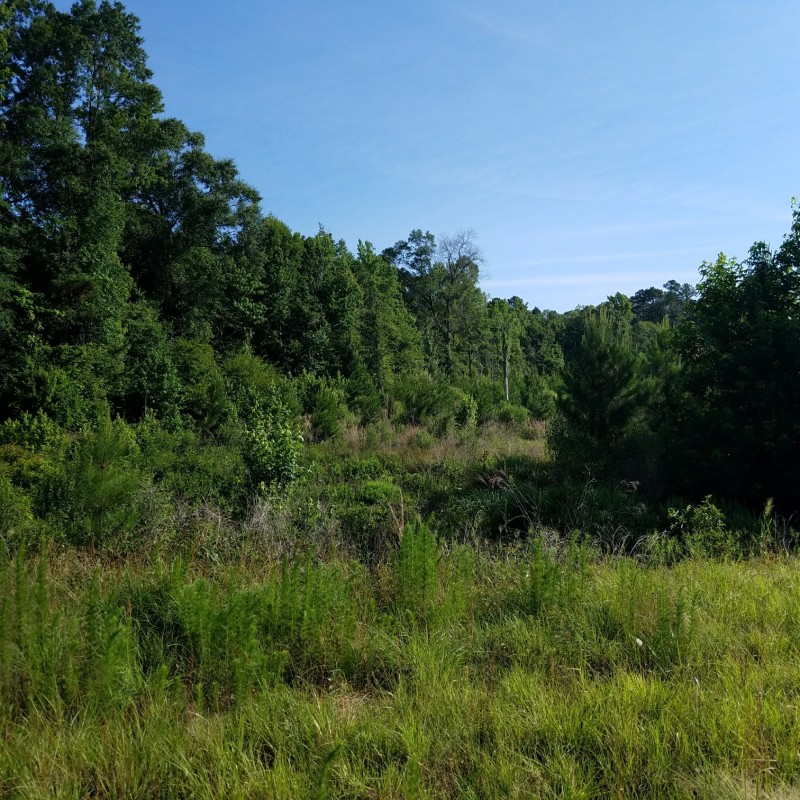 Land For Sale In Taylor Arkansas