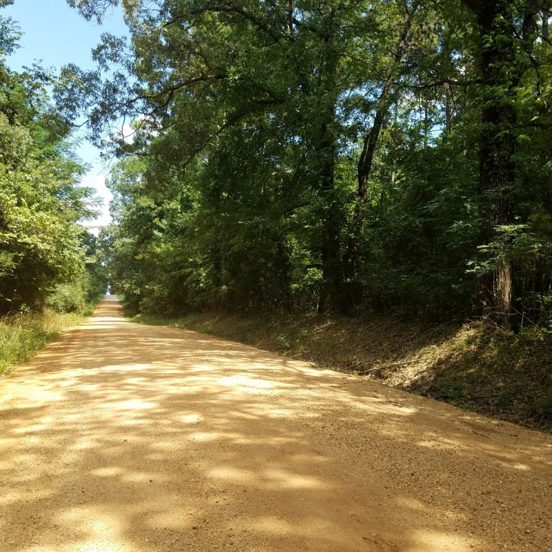 Mt Lebanon 150 of Cleveland County, AR New Edinburg, Arkansas Land