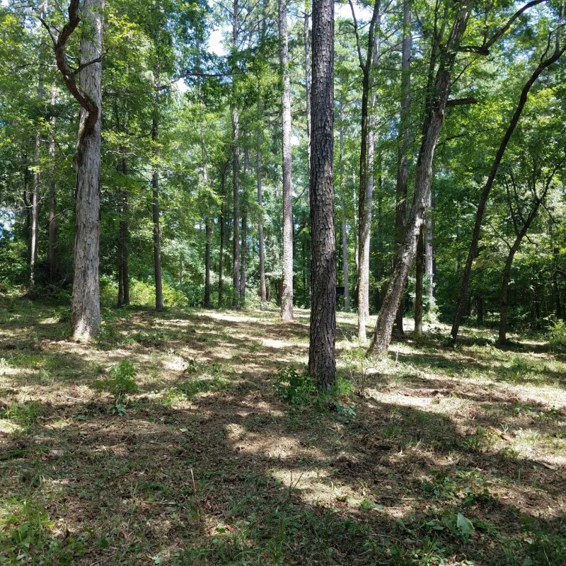 Mt Lebanon 150 of Cleveland County, AR | New Edinburg, Arkansas Land ...